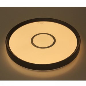 Lumină de tavan CX231